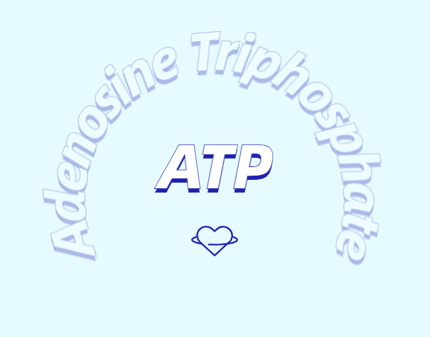 ATP 補充劑有什么作用？