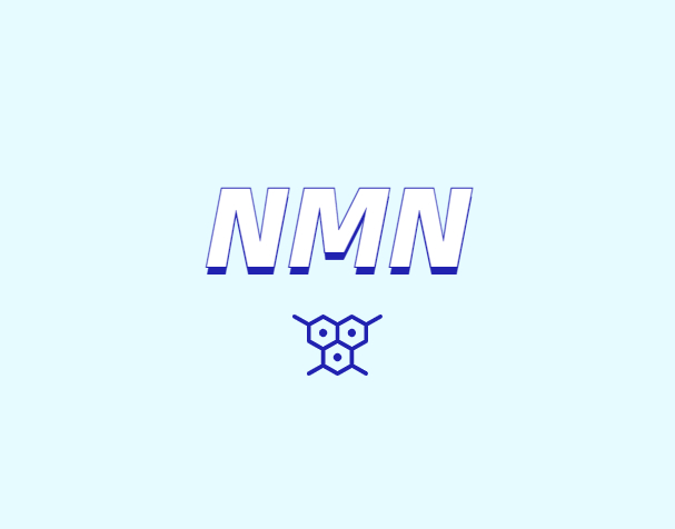NMN在人工膜中的滲透性表現