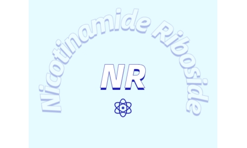 煙酰胺核糖氯化物是如何增加NDA+水平的？
