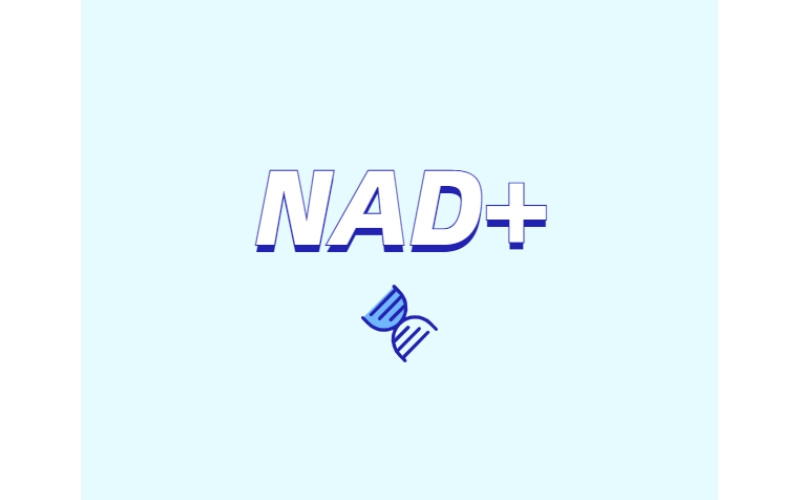 NAD +皮膚抗衰老的新方法