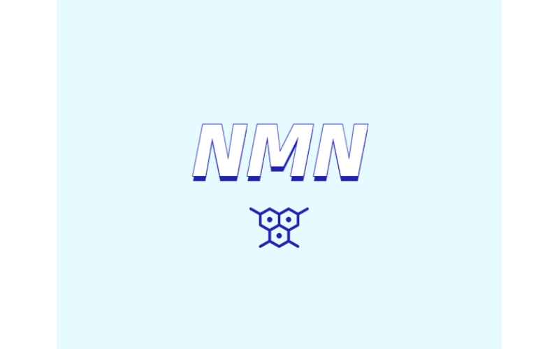 NMN在人工膜中的滲透性表現(xiàn)